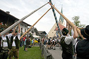 Erster Maibaum in Törwang wurde am 1. Mai 2010 aufgestellt (©Foto: Hölzelsperger)